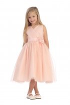 Blush Sleeveless Tulle V-Neck Flower Girl Dress